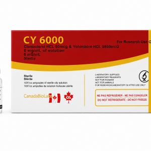 CY 6000