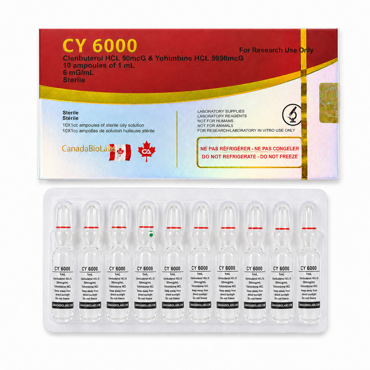 CY 6000